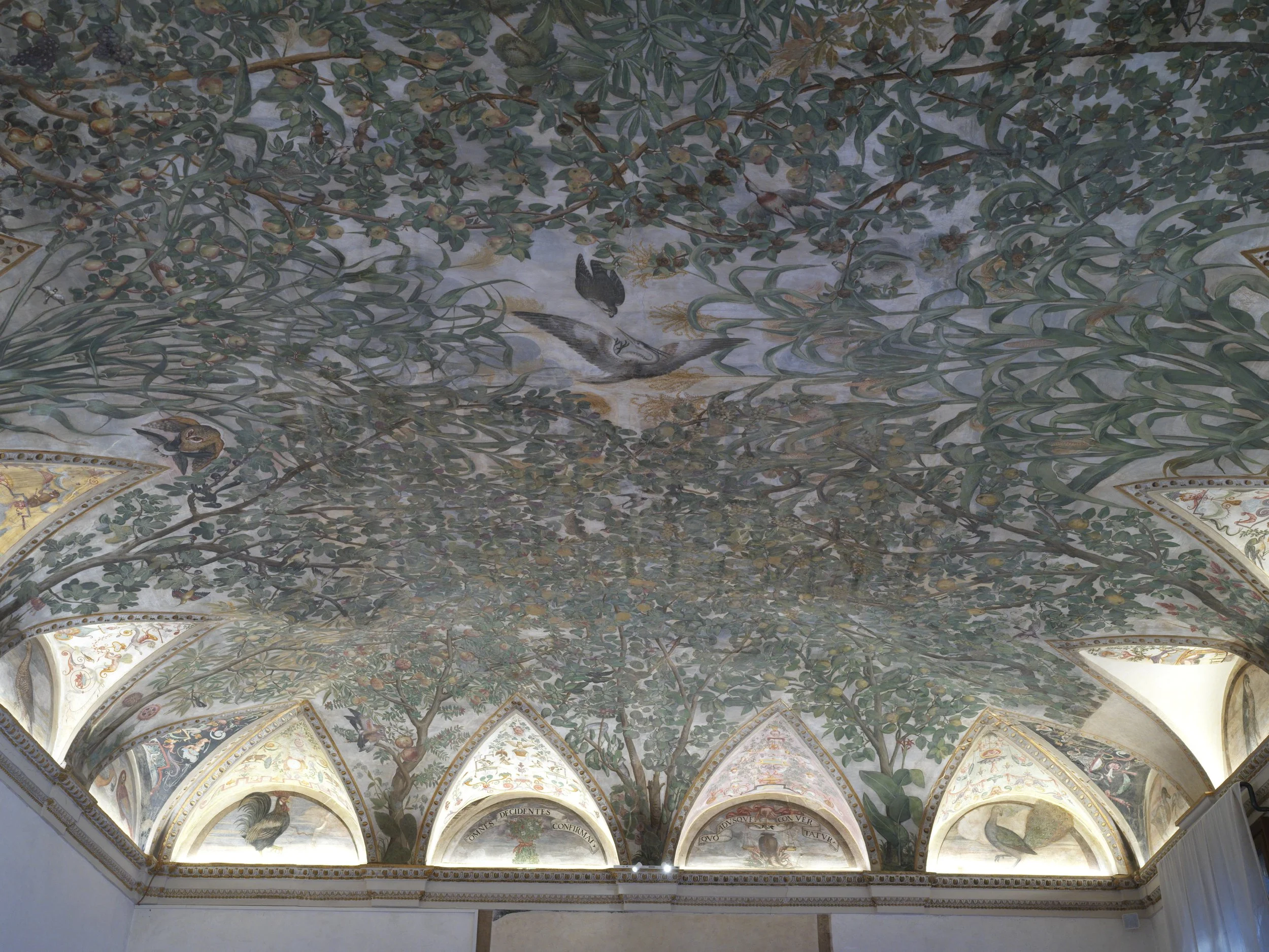 B0000394.JPG