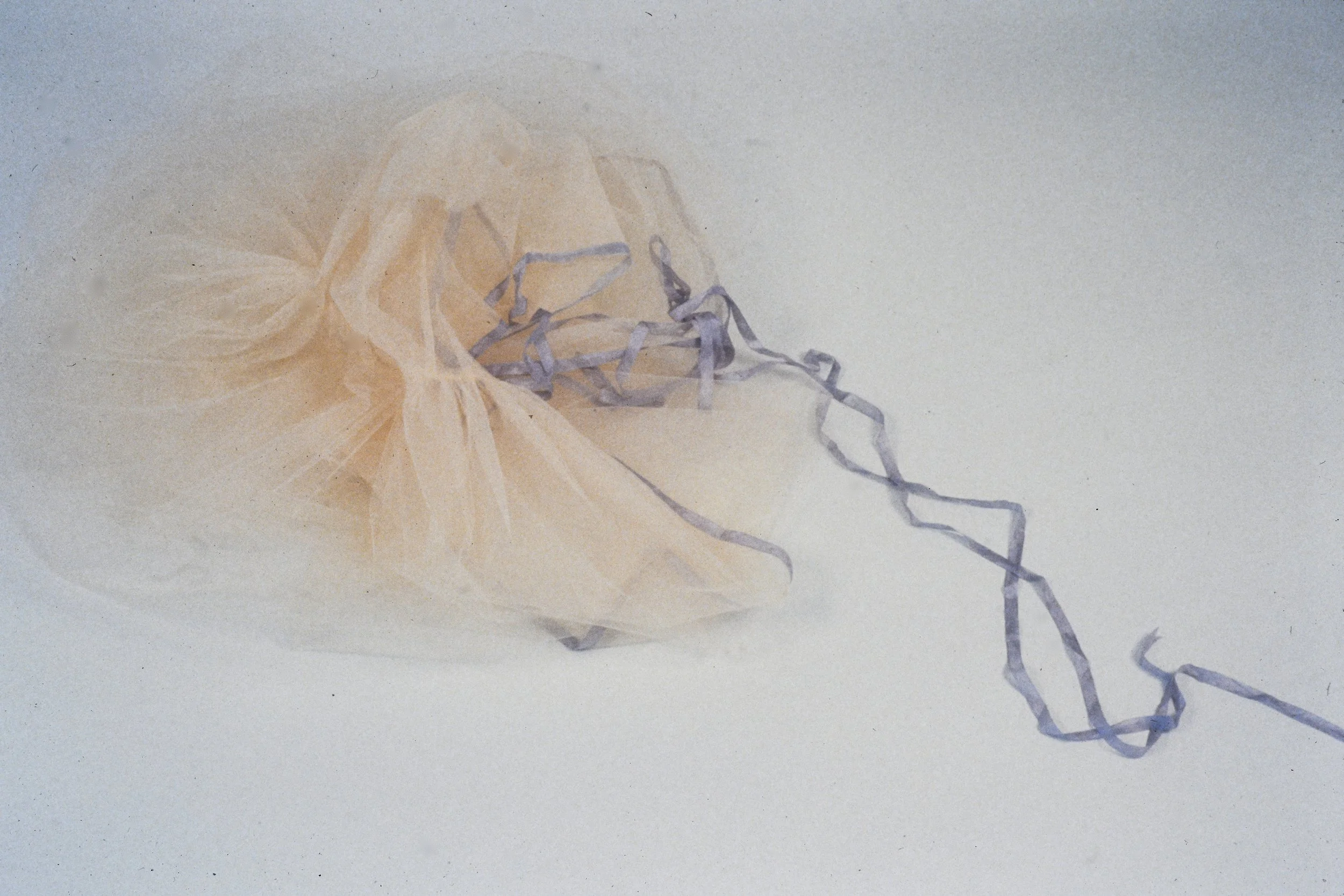 Tulle Garment 0770.JPG