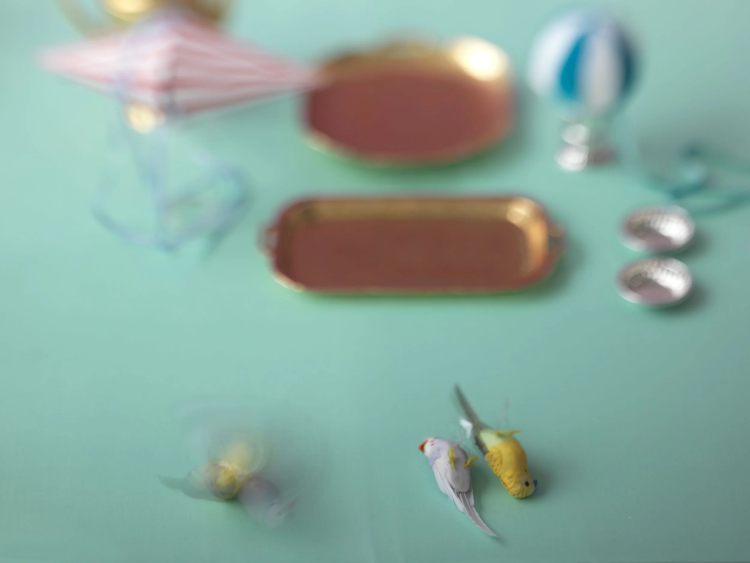 Still Life Xmas 2016_3635-e1-send.jpg