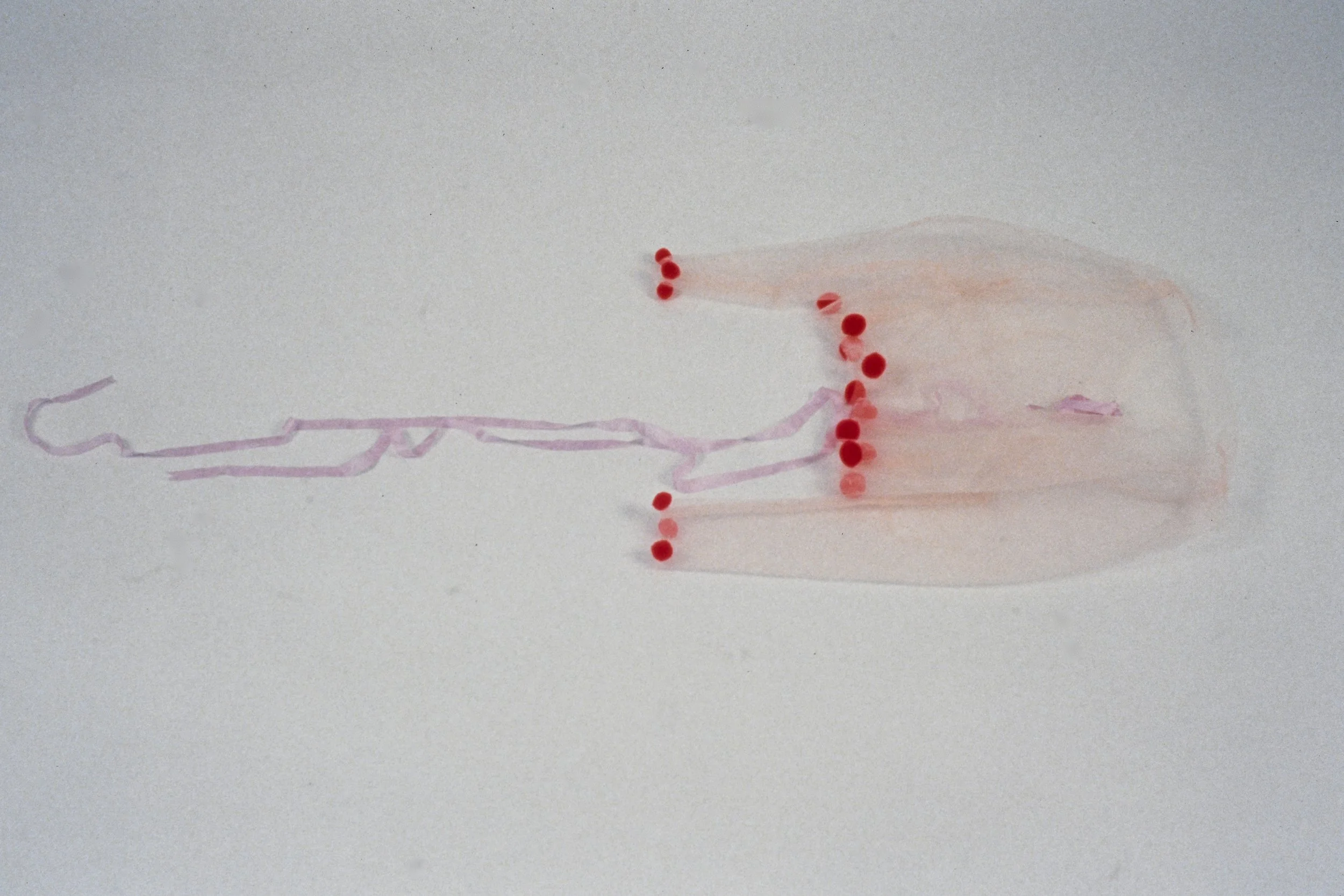 Tulle Garment 0796.JPG