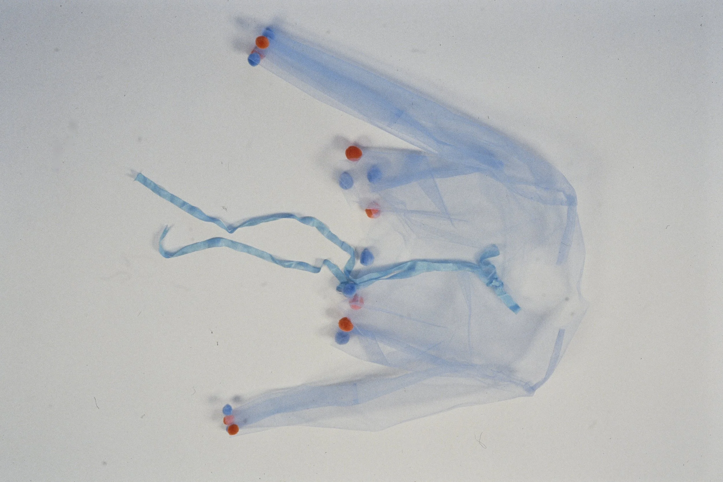Tulle Garment 0756.JPG