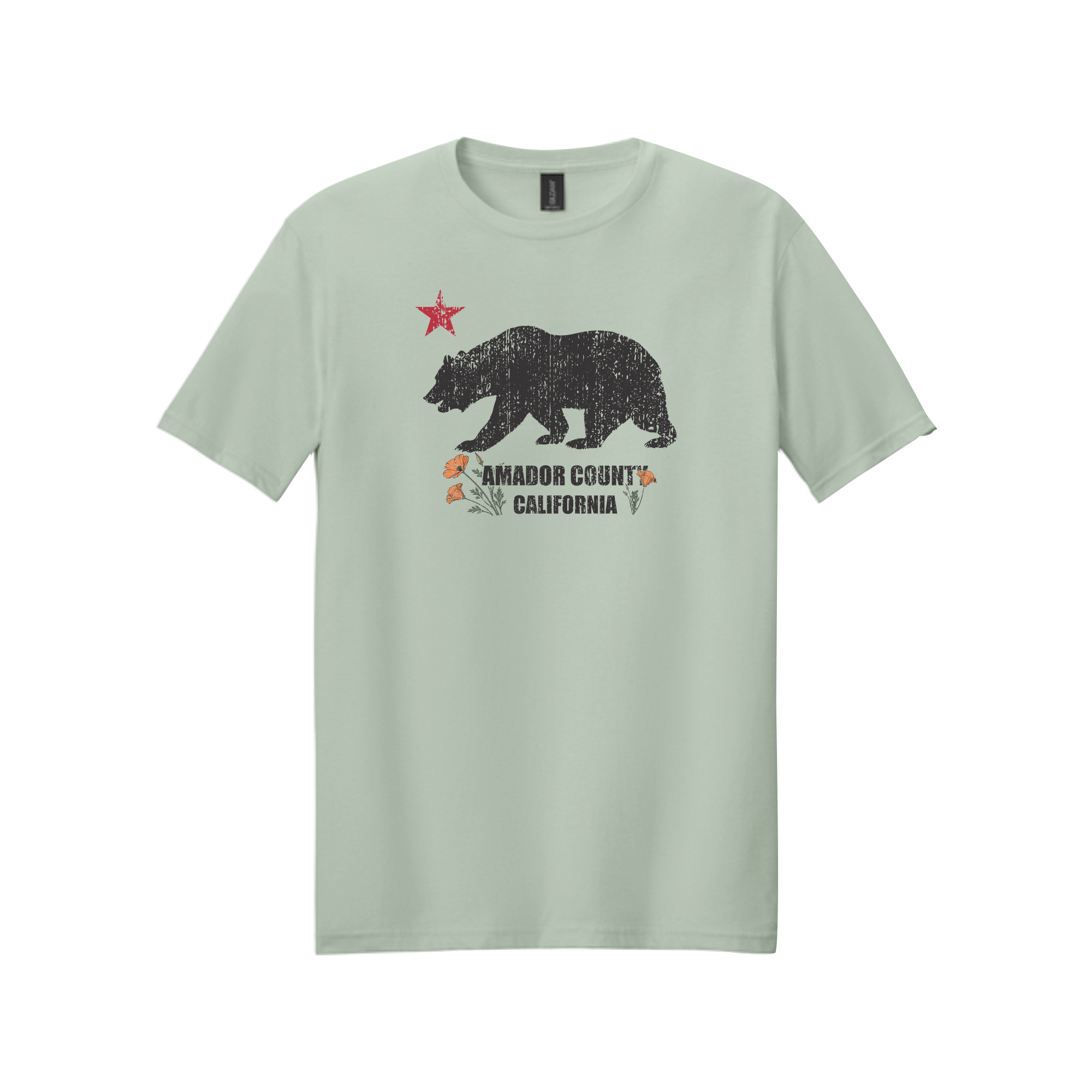 Poppy Bear - Gildan 64000 Sage.png