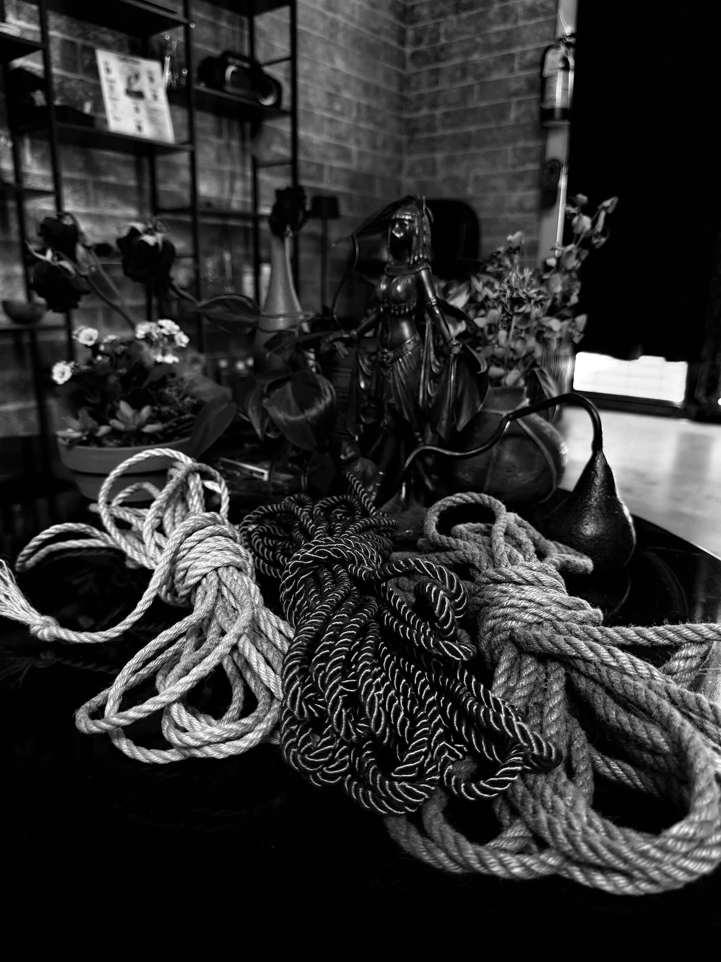 Close-up of various ropes in different sizes and colors, with a decorative brass figurine resembling a woman in the center. In the background, there are flower vases with flowers, a brick wall, and a metal shelving unit with objects and papers.