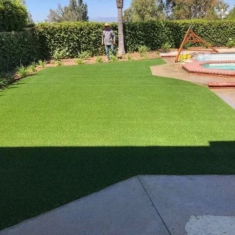 Backyard with green grass, a hedge, a tree, and a playset with a slide.