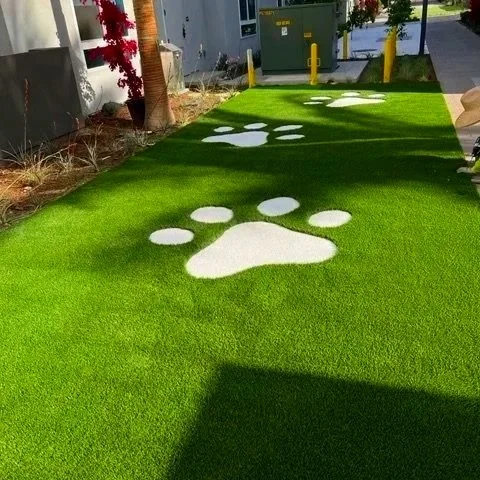 Artificial grass with white paw print designs along the walkway outside a building.
