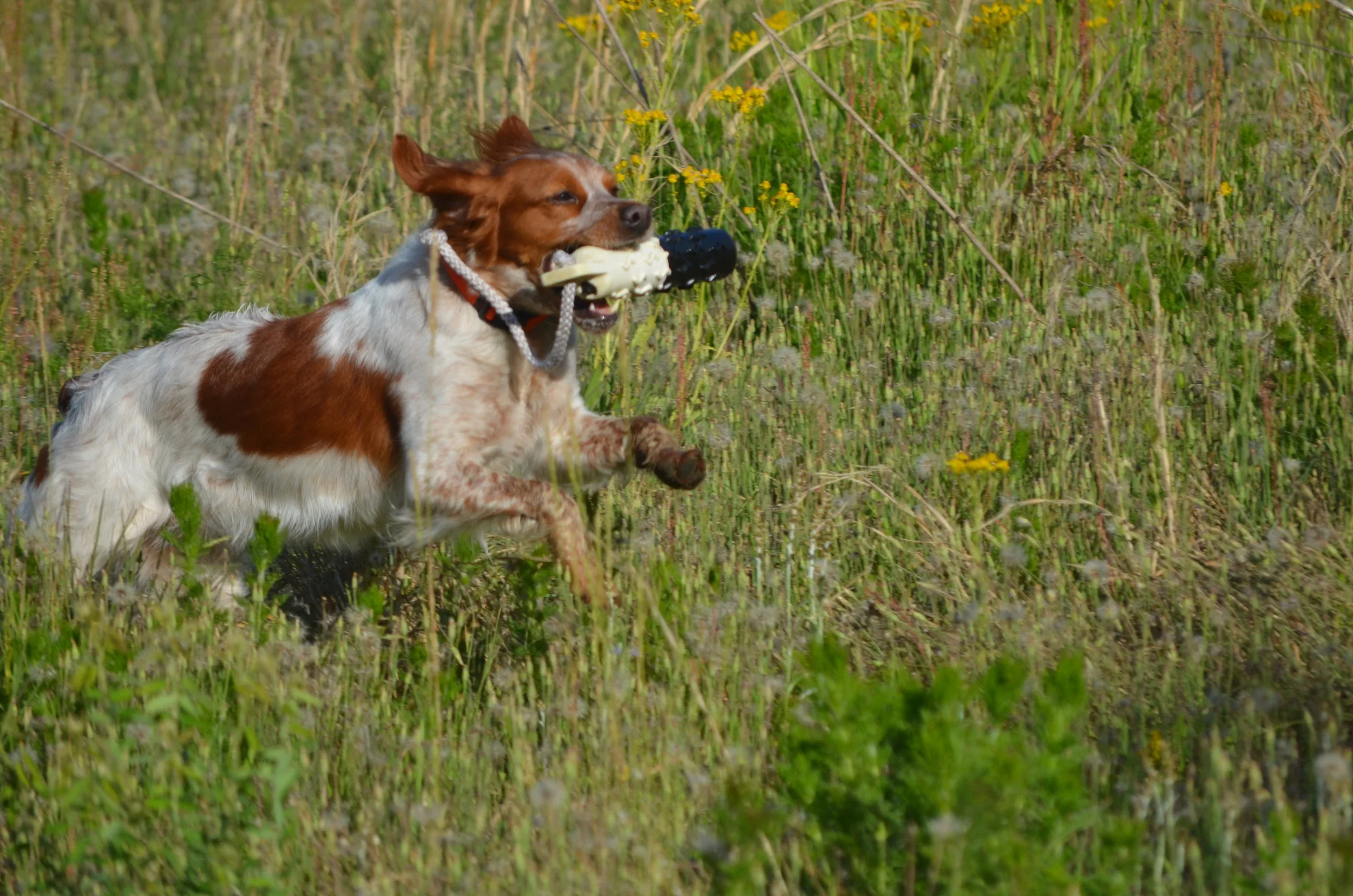 DSC_1428.JPG.webp