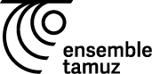Black rectangular image with no visible content