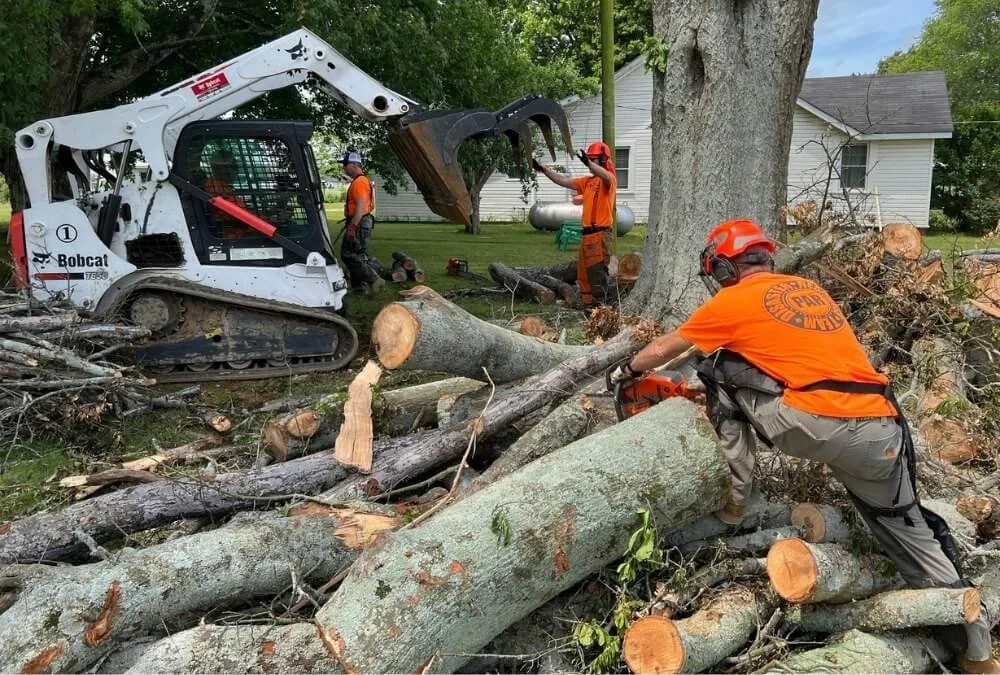 Clearing the Way: A Day of Storm Relief and Community Connection for PAR Volunteers
