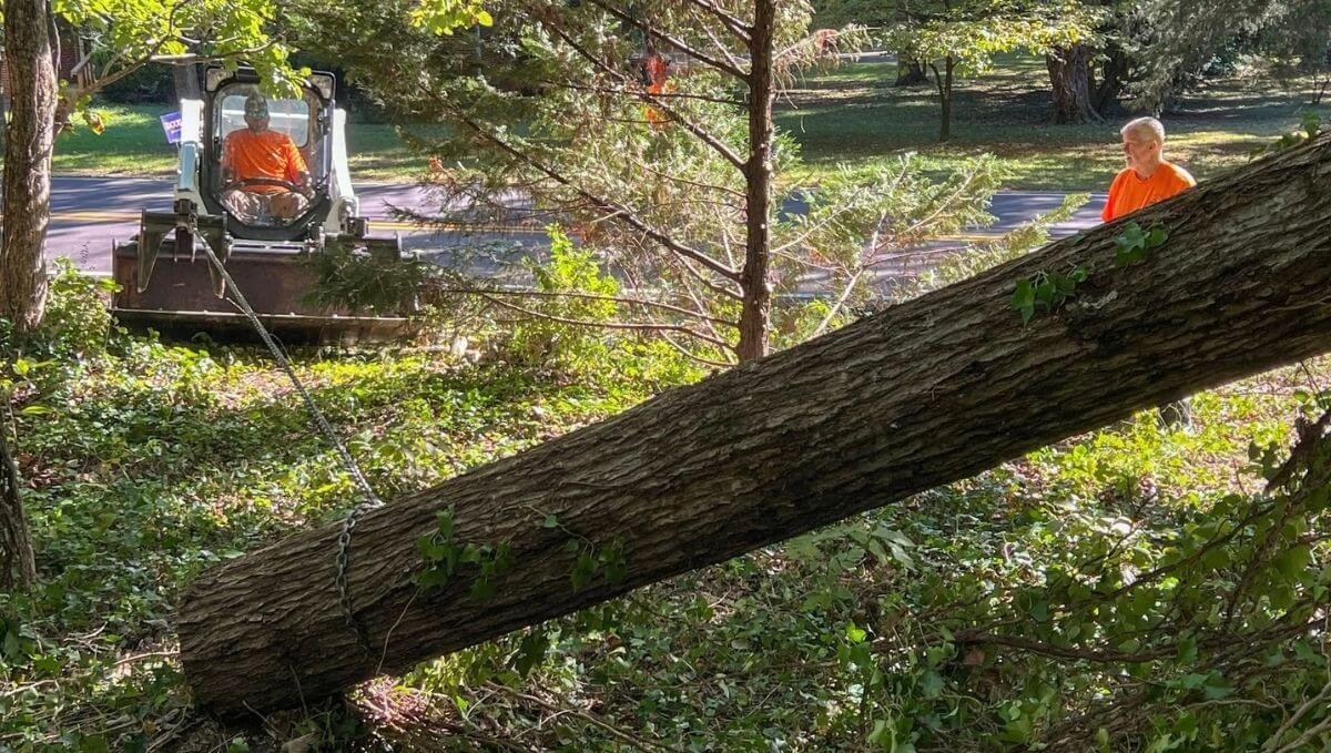 Volunteer using skidsteer to remove fallen tree