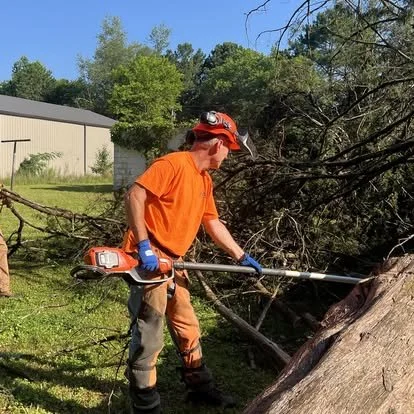 Person cutting a fallen tree with a chainsaw outdoors on a sunny day.