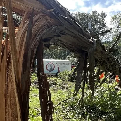 A large fallen tree limb has broken off and is resting on a building's roof, with debris and vegetation around it; a white truck with red and blue markings is visible in the background.