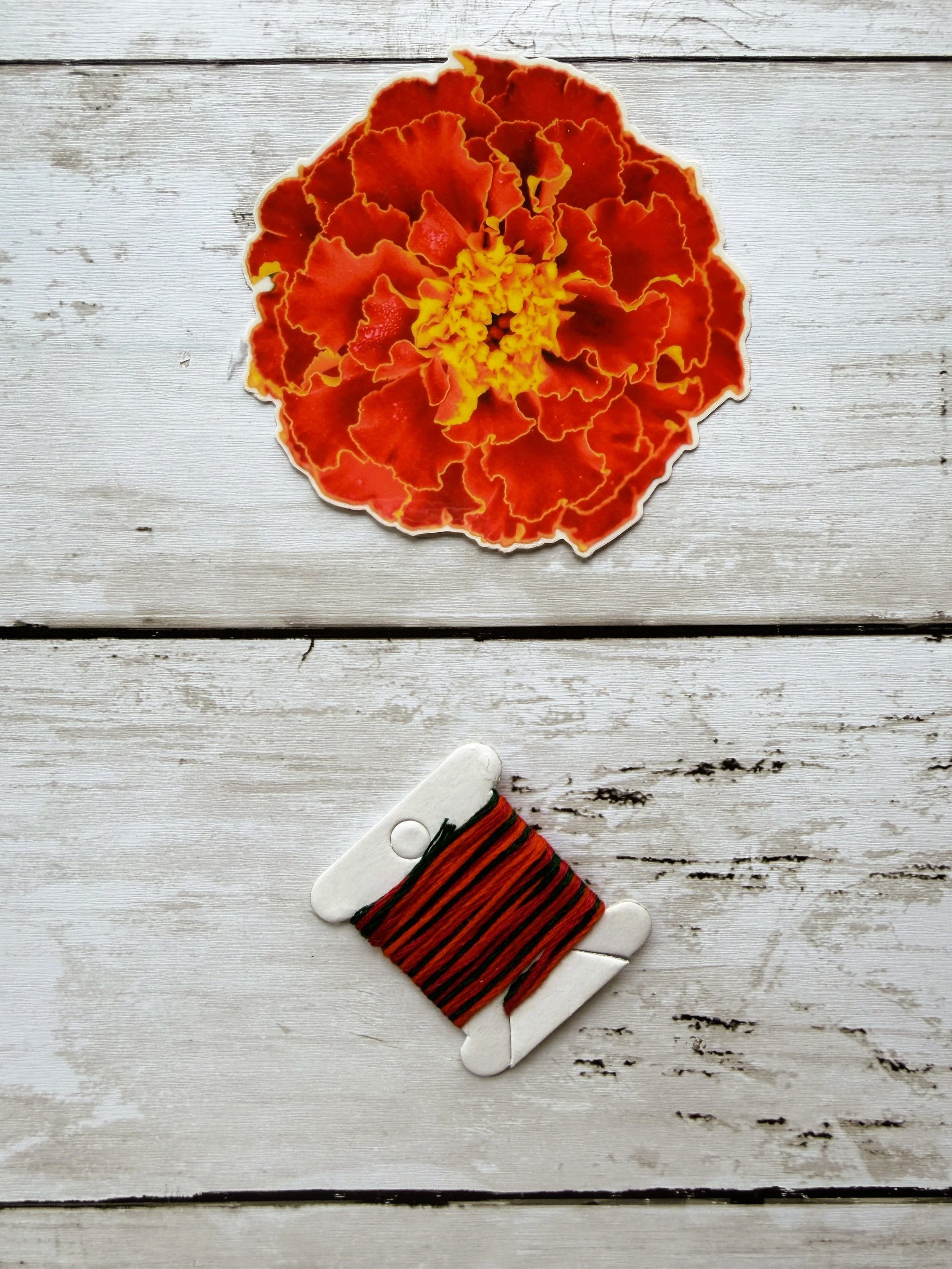 Marigold Madness Envelope 4.jpg