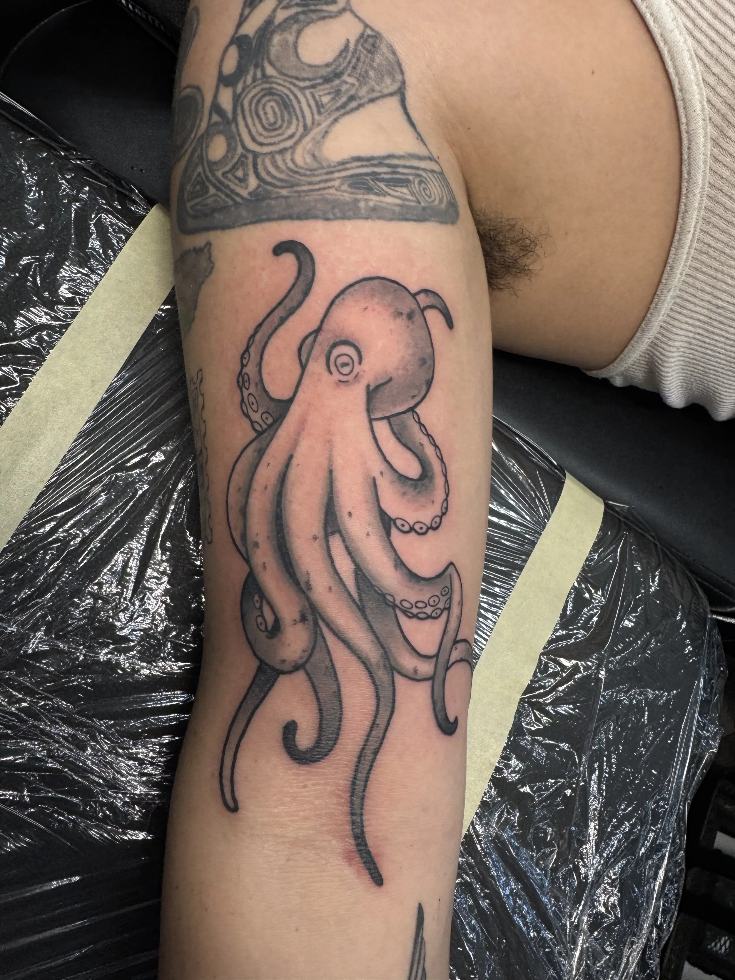 octopus.jpeg