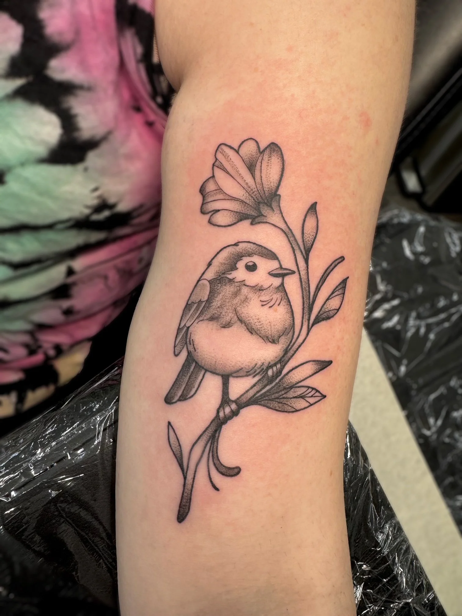 hannah bird.jpeg