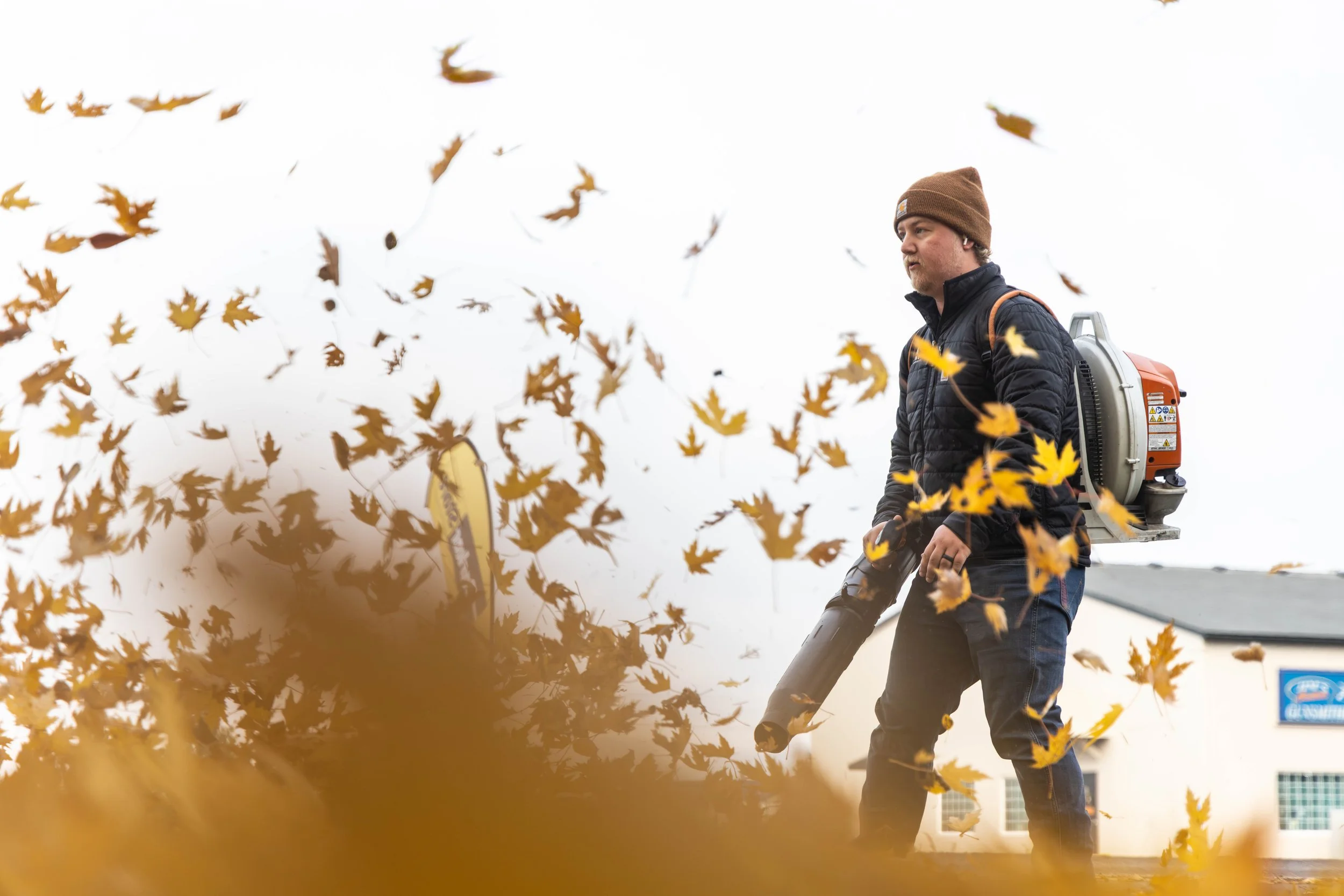 Person wearing a brown beanie and black jacket using a leaf blower to clear fallen autumn leaves.