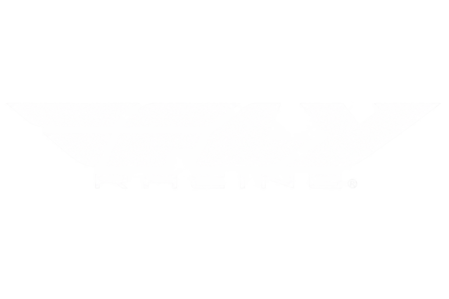 Racing logo with white text on a gray and black background.