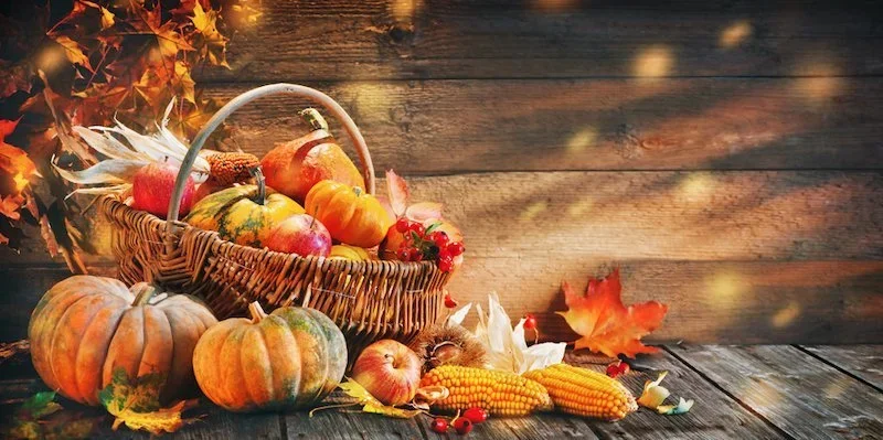 Fall Break Week – CLOSED