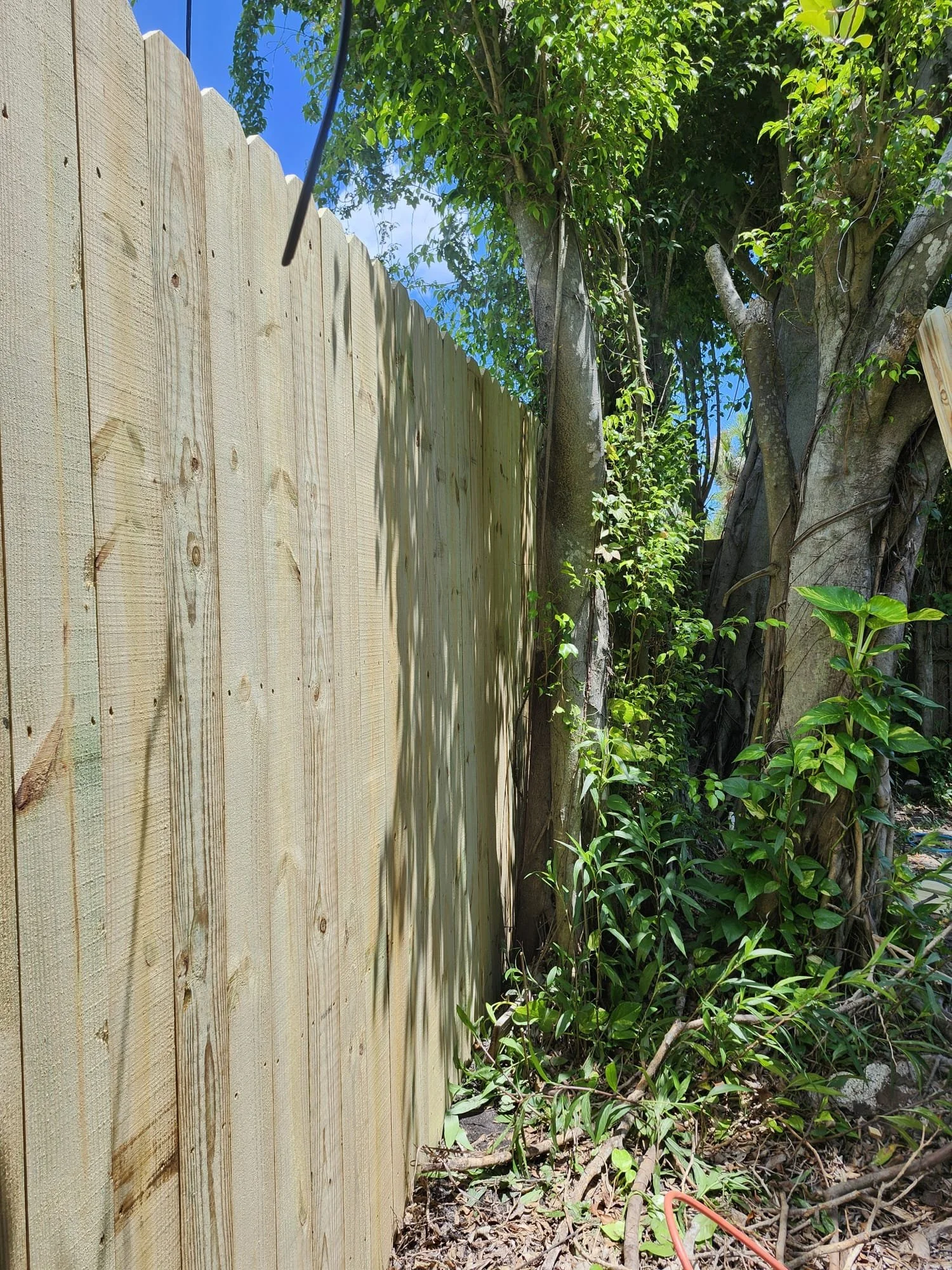 Wood Fence — Boca Raton
