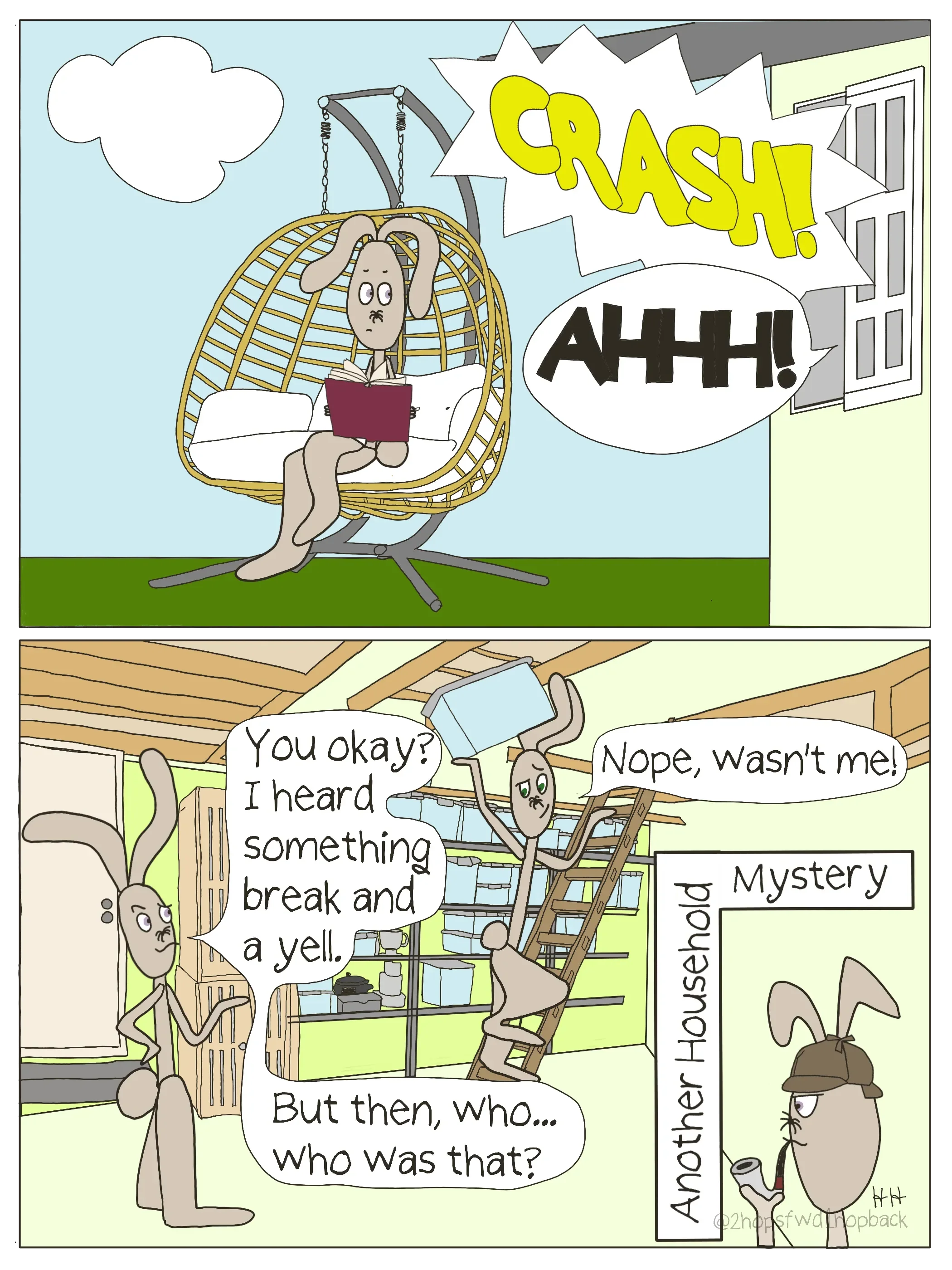 Another Household Mystery