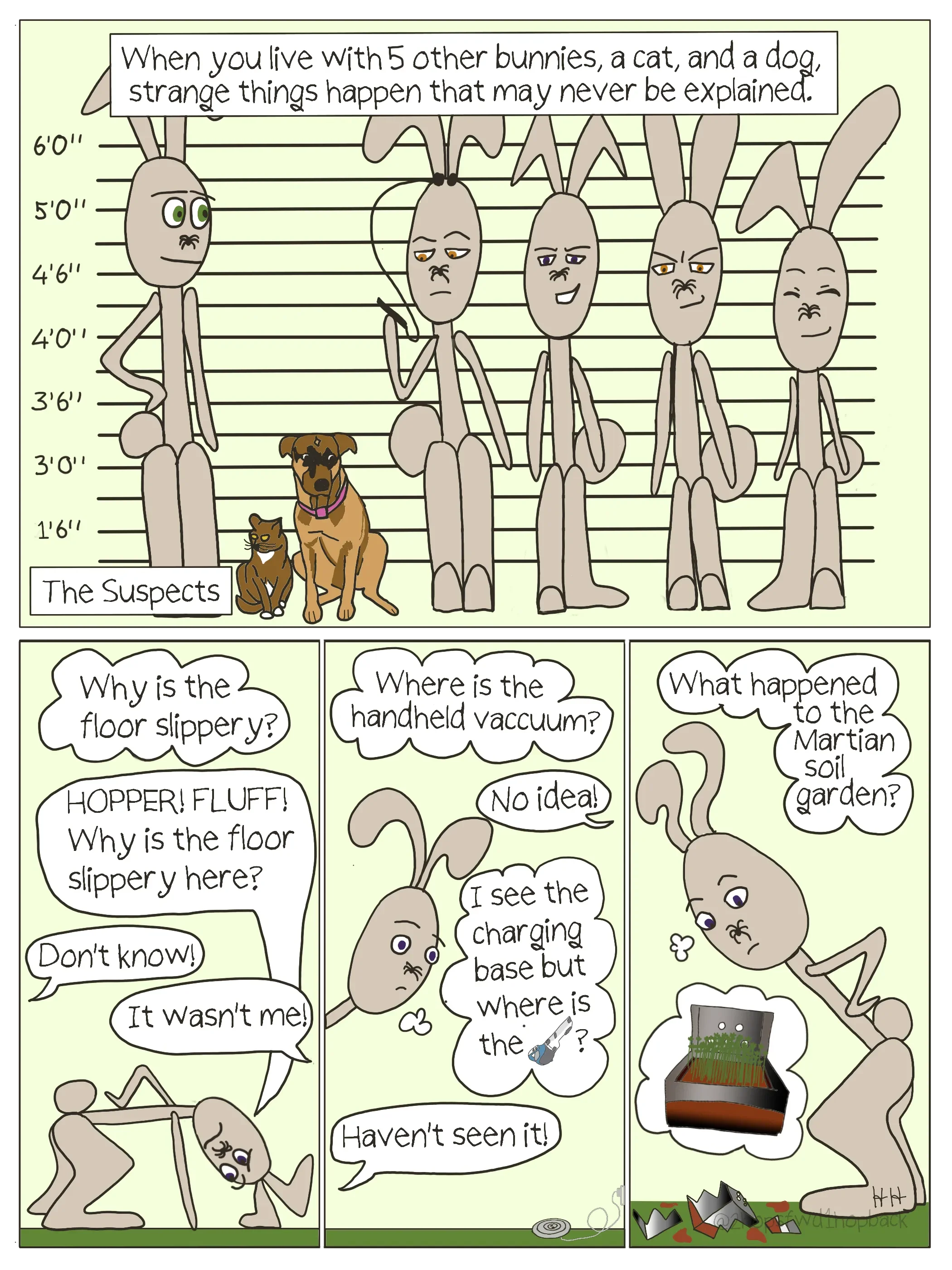2026-007 - 2 hops forward 1 hop back - webcomic - various house mysteries occur when living in a home with 6 bunnies, a dog, and a cat
