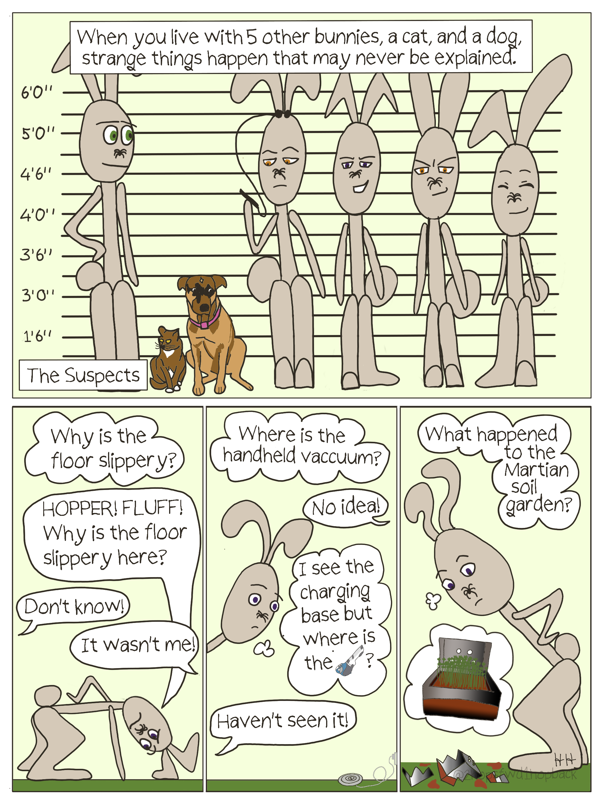 2026-007 - 2 hops forward 1 hop back - webcomic - various house mysteries occur when living in a home with 5 bunnies, a dog, and a cat