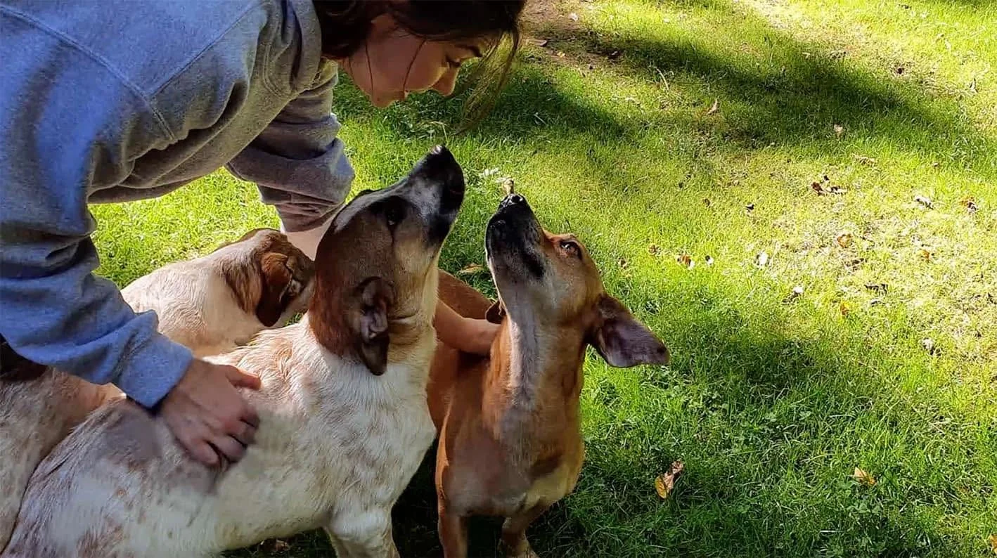 David Scott Weitz photographing a staff member outside with a dog at Janry Pet Resort