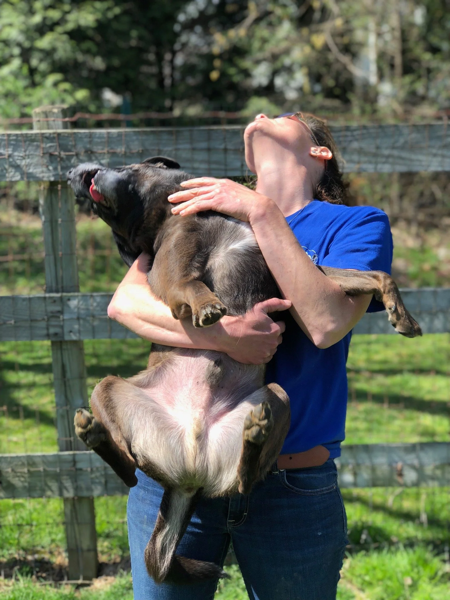 David Scott Weitz photographing a staff member with a dog at Janry Pet Resort 