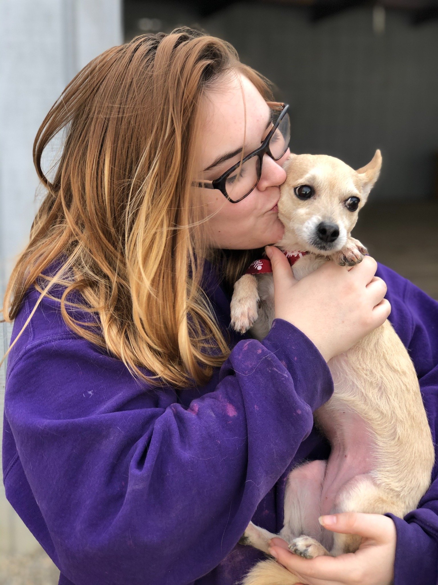 David Scott Weitz photographing a staff member with a dog at Janry Pet Resort 