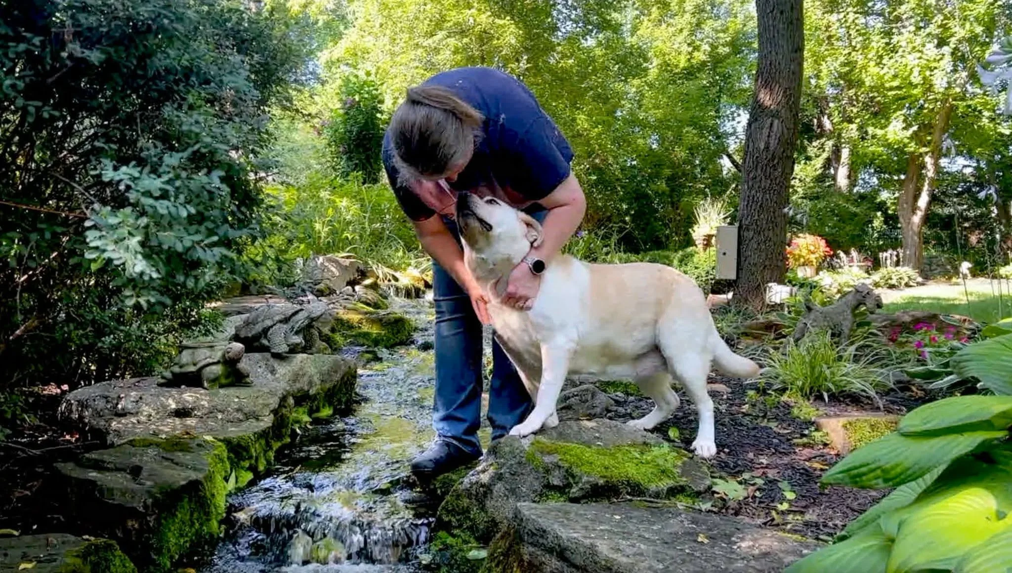 David Scott Weitz photographing a the GM outside with a dog at Janry Pet Resort