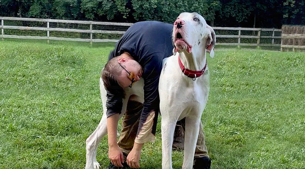 David Scott Weitz photographing a staff member laying over a Great Dane at Janry Pet Resort 