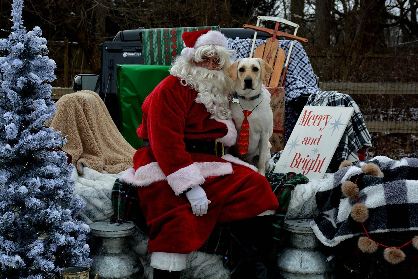 David Scott Weitz photographing Santa Clause outside with a dog at Janry Pet Resort