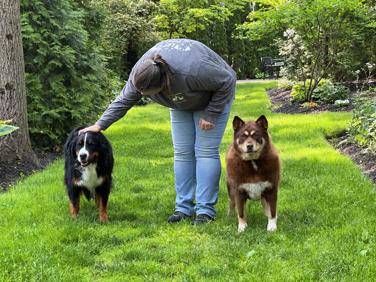 David Scott Weitz photographing a the GM outside with a dog at Janry Pet Resort 