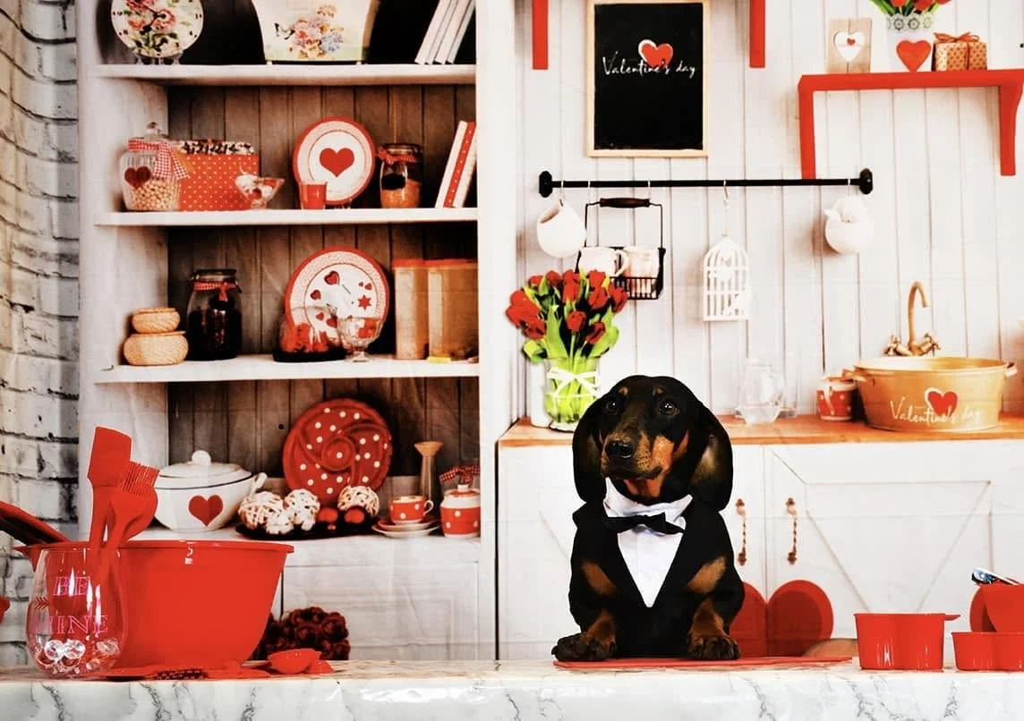 David Scott Weitz photographing a dog on Valentine's Day at Janry Pet Resort