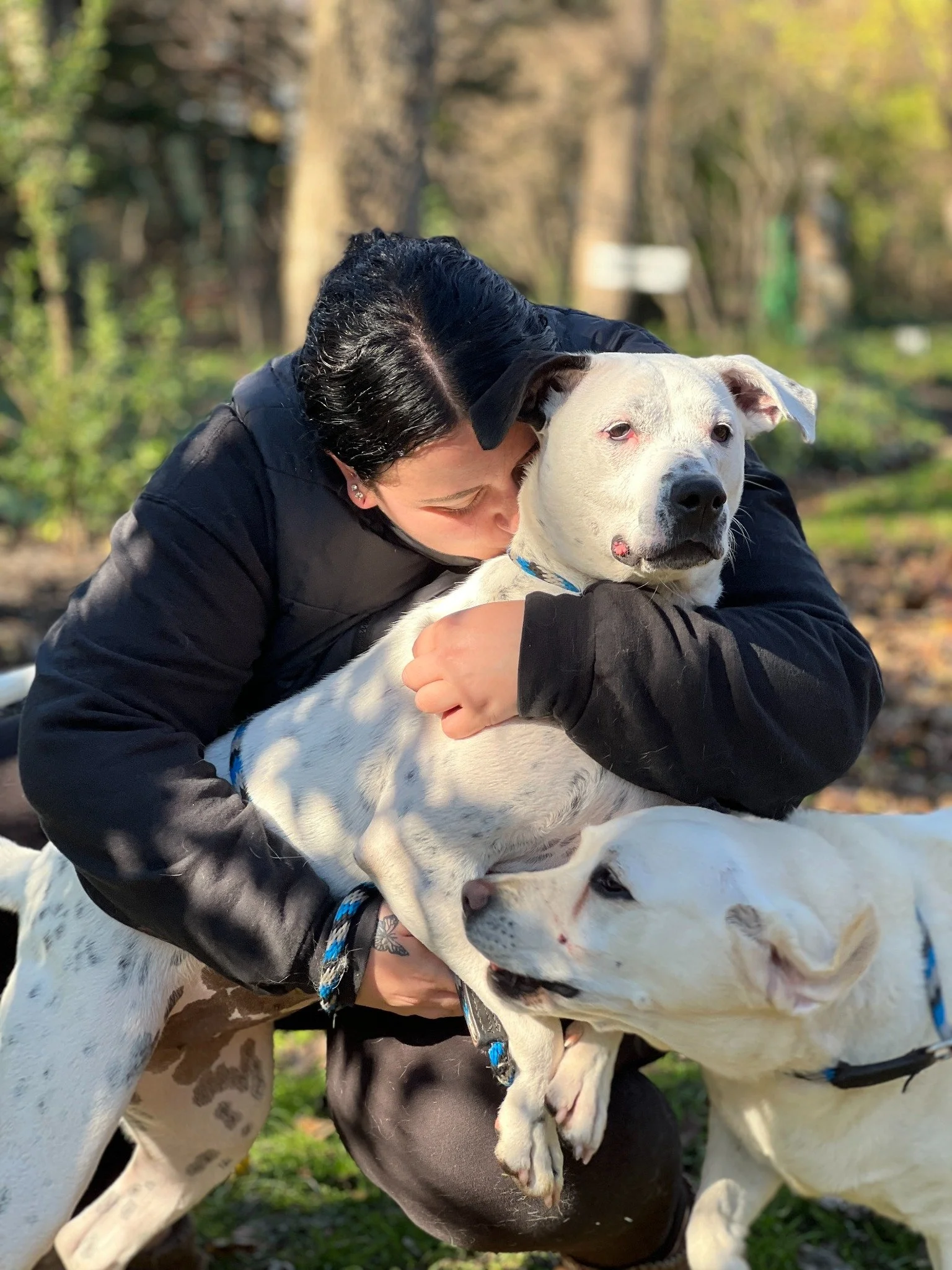David Scott Weitz photographing a staff member with a dog at Janry Pet Resort 