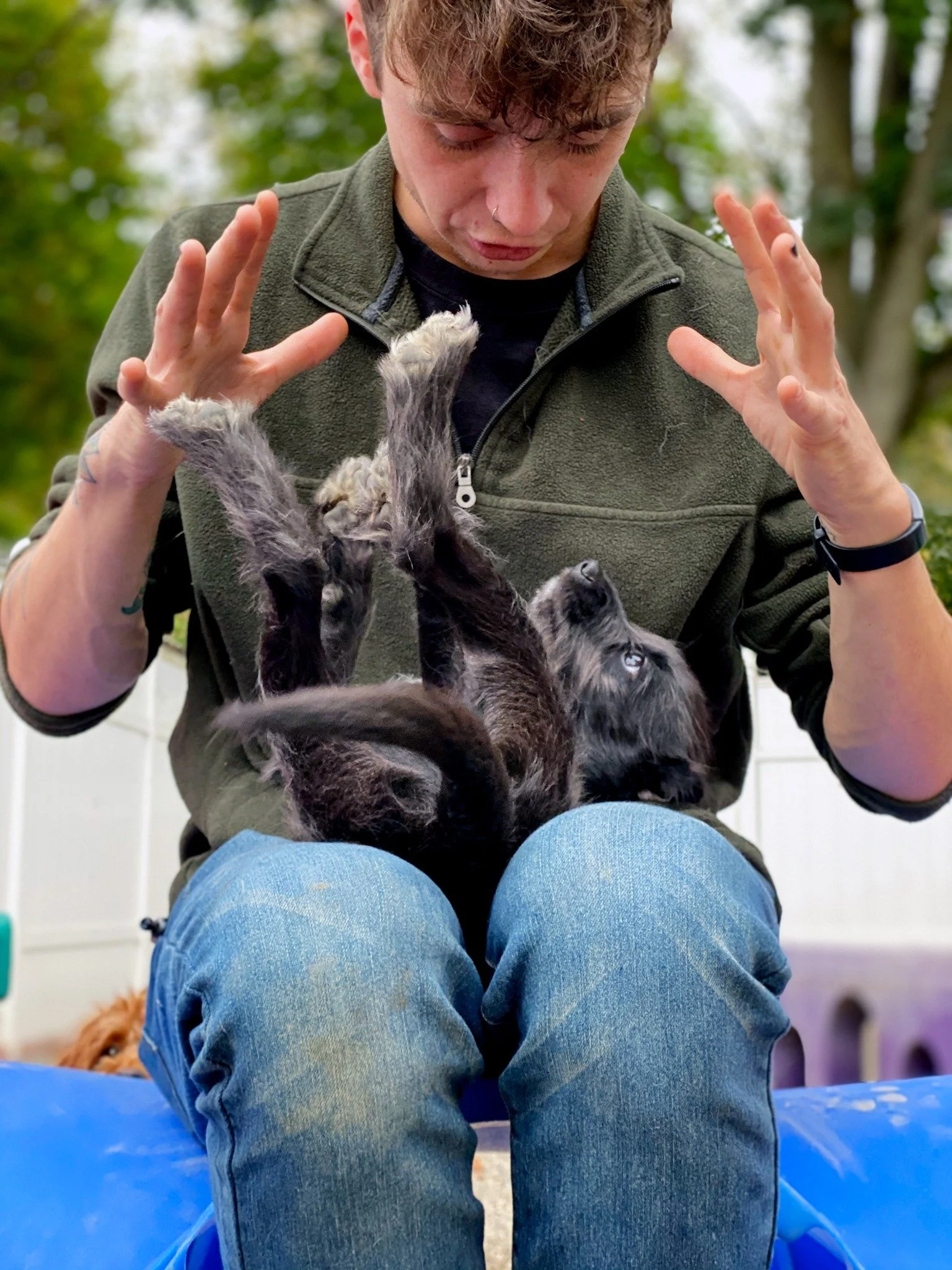 David Scott Weitz photographing a staff member with a dog at Janry Pet Resort 
