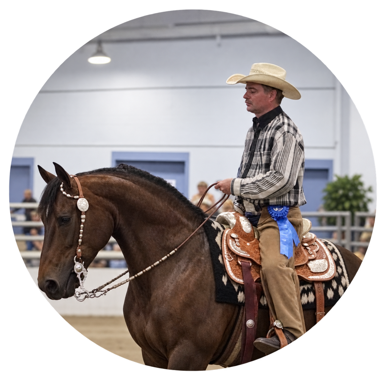 Mike Kropp riding a Western horse