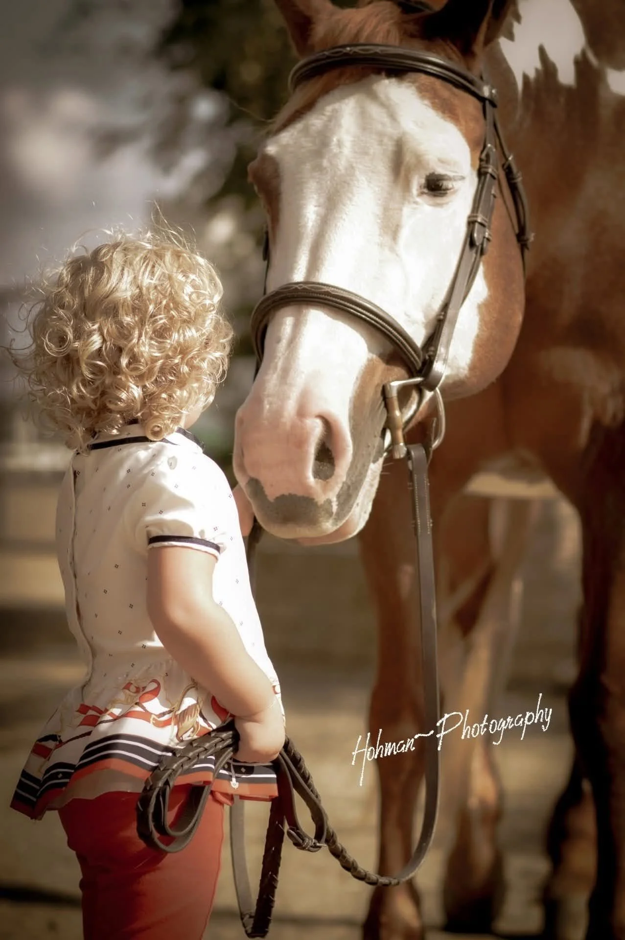 Child greeting a horse at Shallow Creek Stables