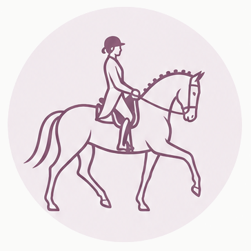 Dressage rider illustration