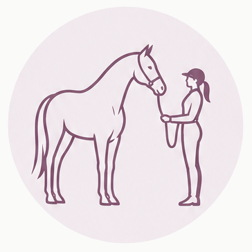 A girl holding a horse's reins in a minimalistic line drawing.
