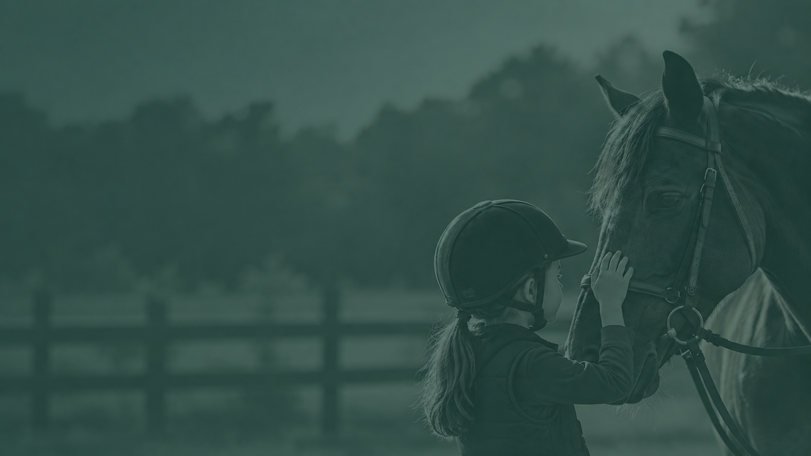Young rider connecting with a horse