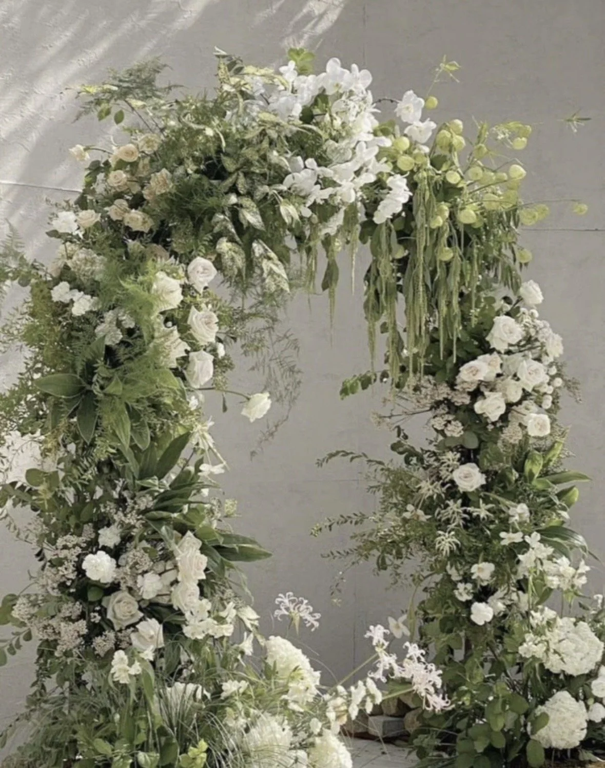 THE IVORY COLLECTION
