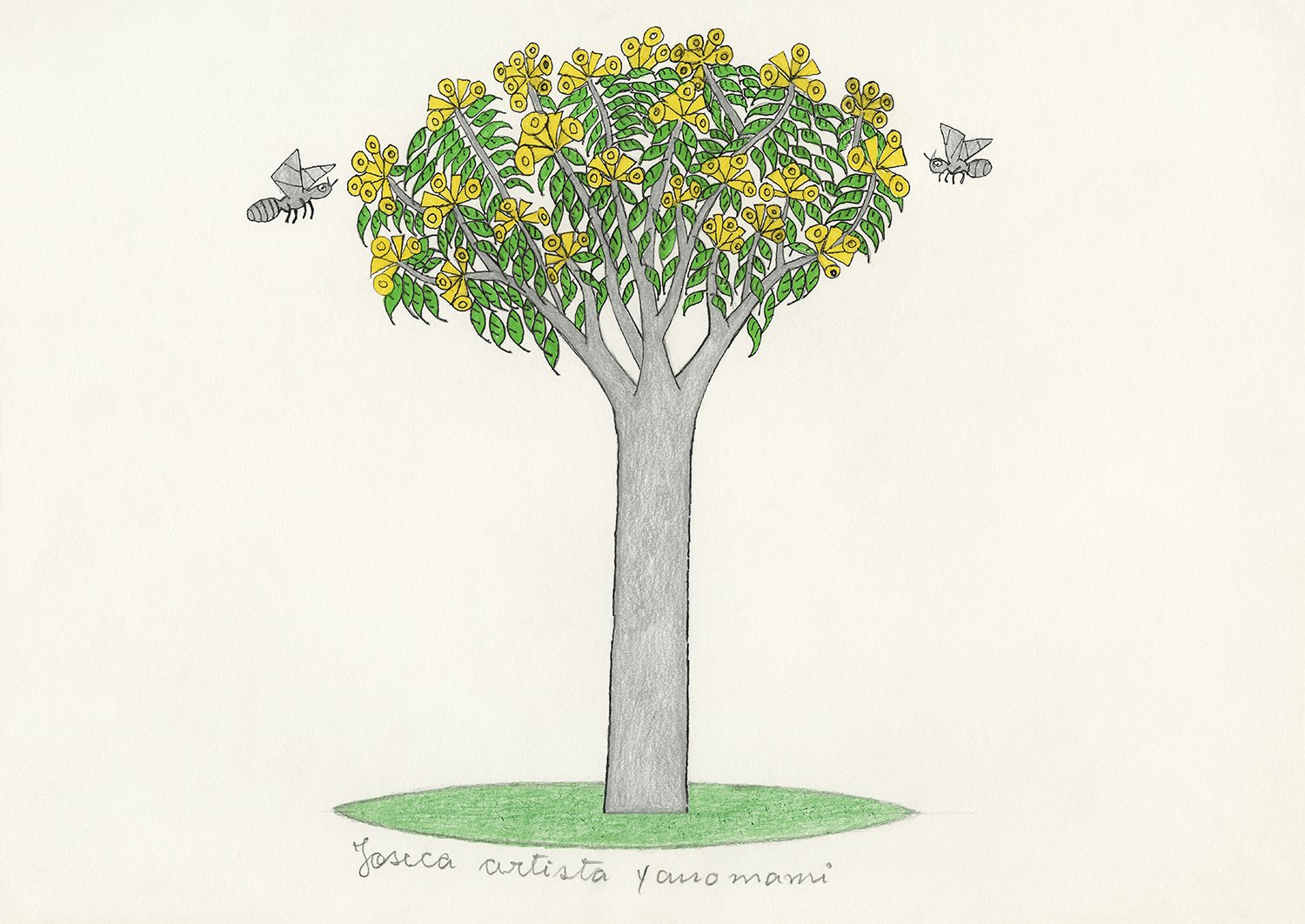 Pau-d'arco, árvore (Tabebuia capitata) | 2019, lápis e caneta hidrocor sobre papel, 30 x 42 cm.