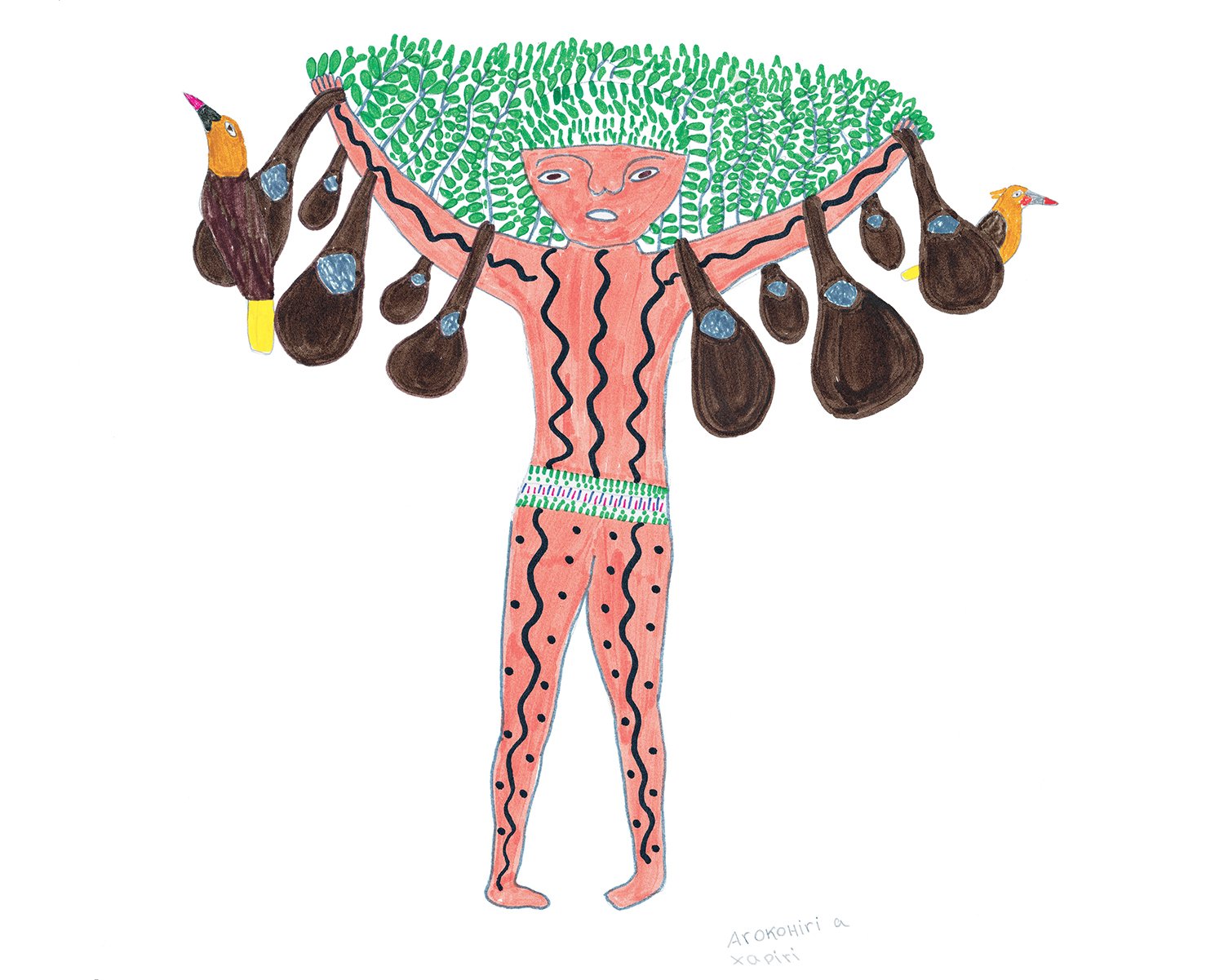 Ãrõkohiri a, espírito da árvore Jatobá (Hymenaea parvifolia). | 2003, tinta de caneta hidrográfica, lápis de cor e grafite sobre papel, 30 × 42 cm.