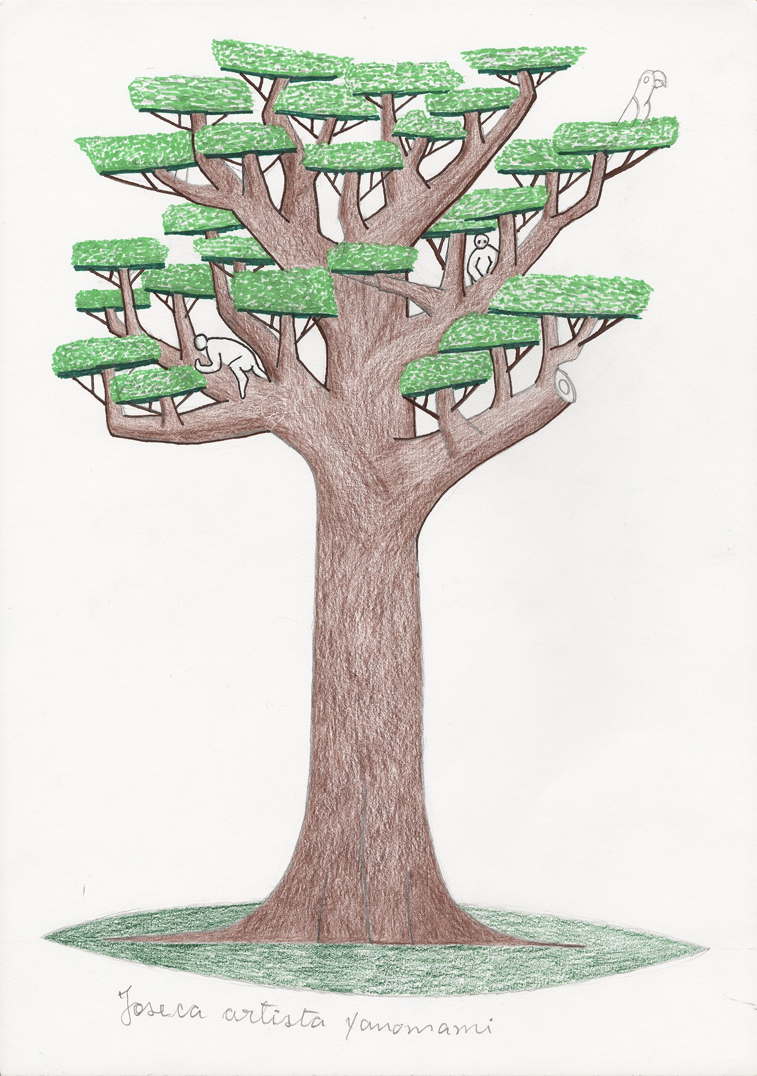 Sumaúma, árvore (Ceiba pentandra). | 2018, lápis e caneta hidrocor sobre papel, 42 x 30 cm.