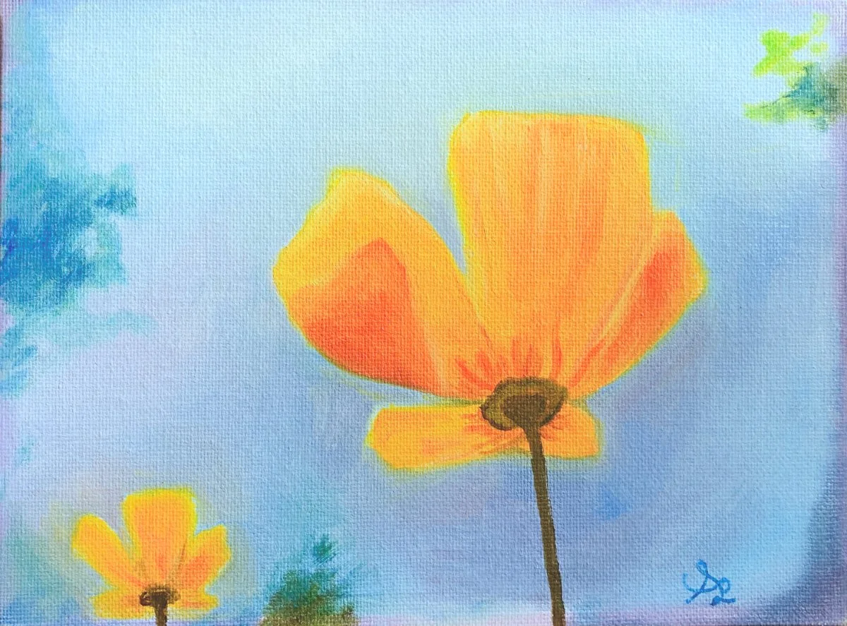 2020 05 27 poppies skyward websafe.jpg