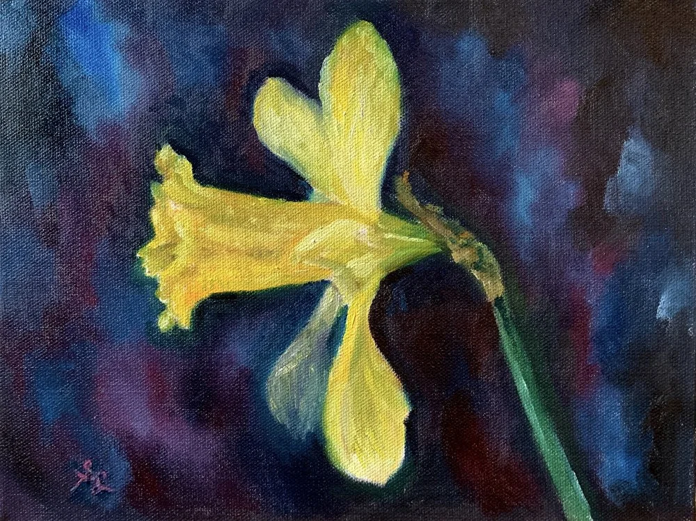 daffodil 2023 web.jpg