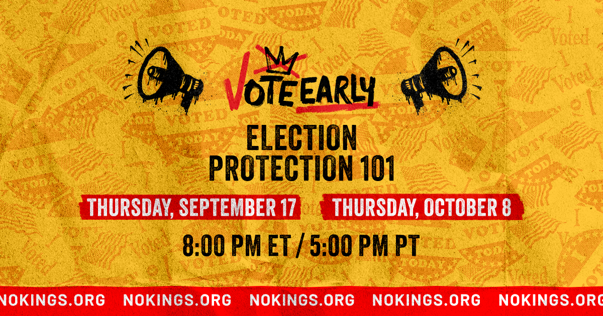 (Virtual) Election Protection 101