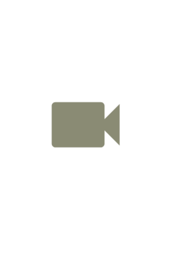 Icon of a video camera
