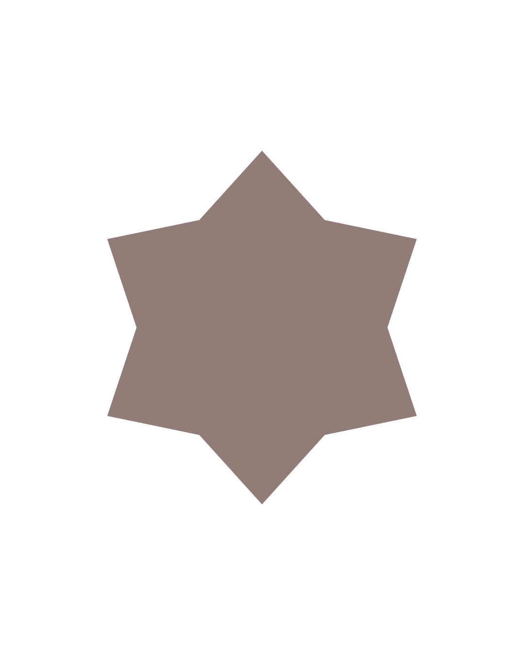 A brown, six-pointed star badge with the words "POLICE SERVICE" written inside.