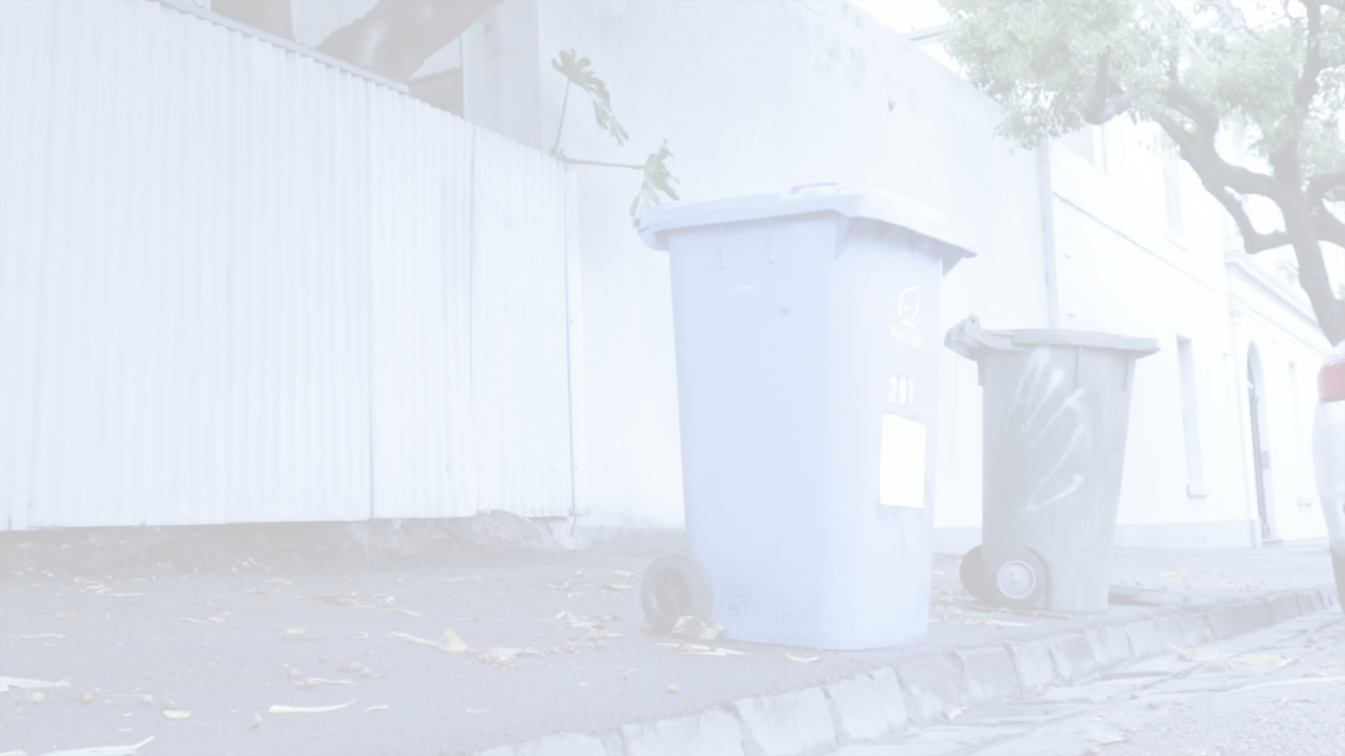 Minted Bins LLC (Presentation) (3).png